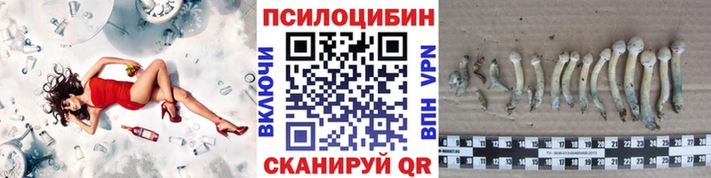 купить наркотики сайты  Отрадное  Галлюциногенные грибы Magic Shrooms 